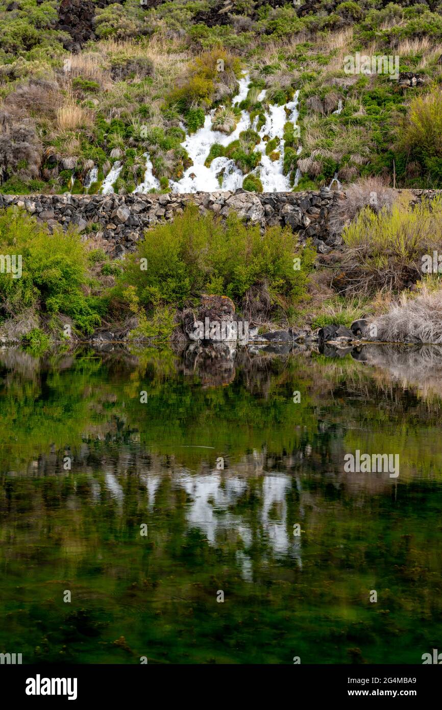 Fresh water spring reflects into a lake in Hagerman Valley Idaho Stock Photo