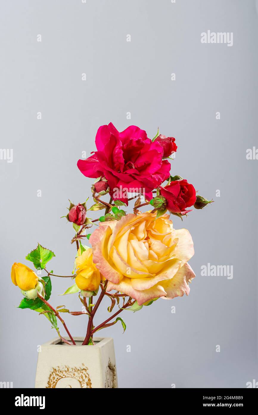 Photograph of a bouquet of natural flowers in a handmade vase on a light blue background.The photo has space to put text or whatever you want.Photo in Stock Photo