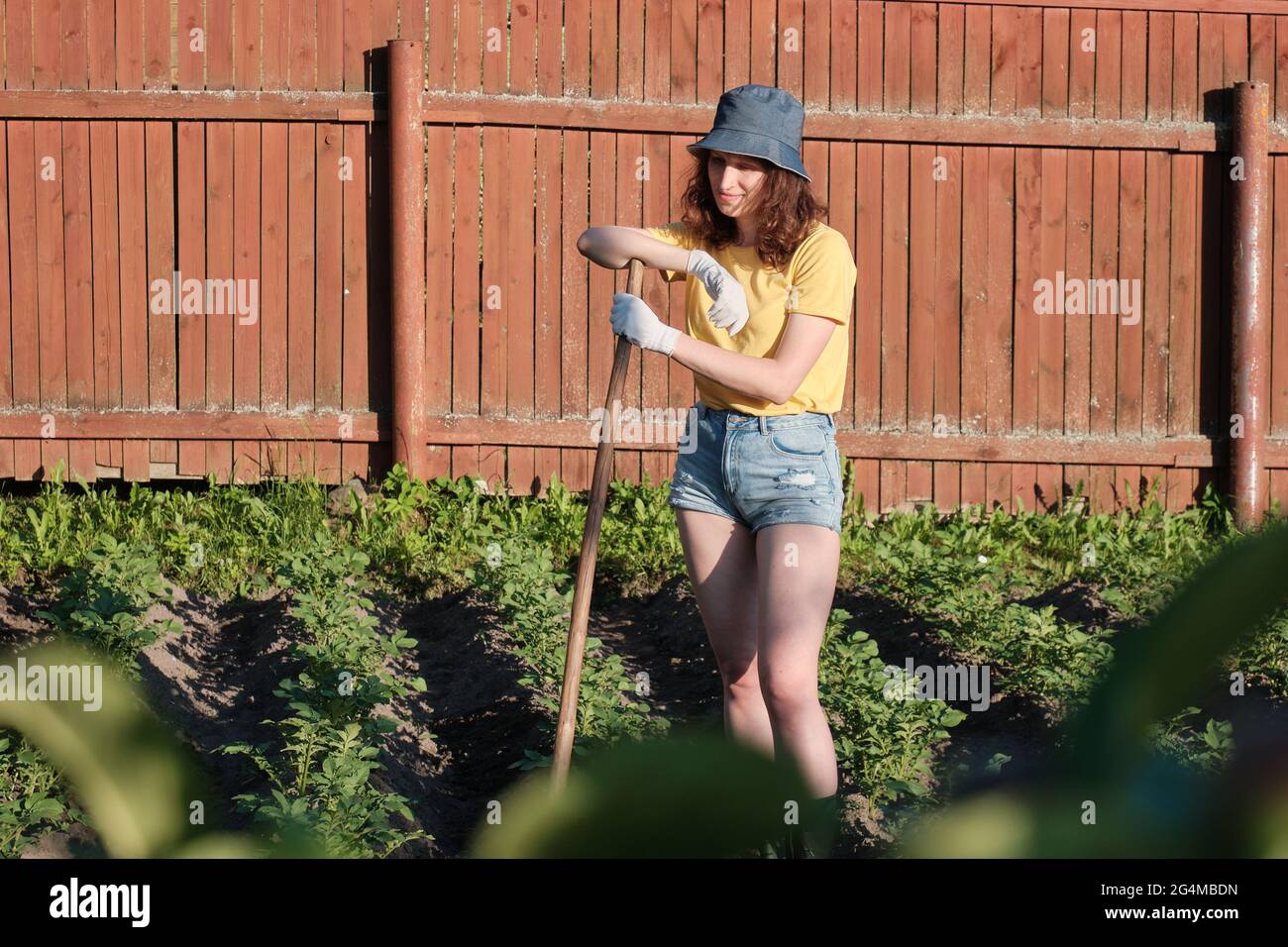 Young caucasian woman female farmer working in the agriculture filed holding hoe to remove weeds and shaping soil and hilling - real people horticultu Stock Photo