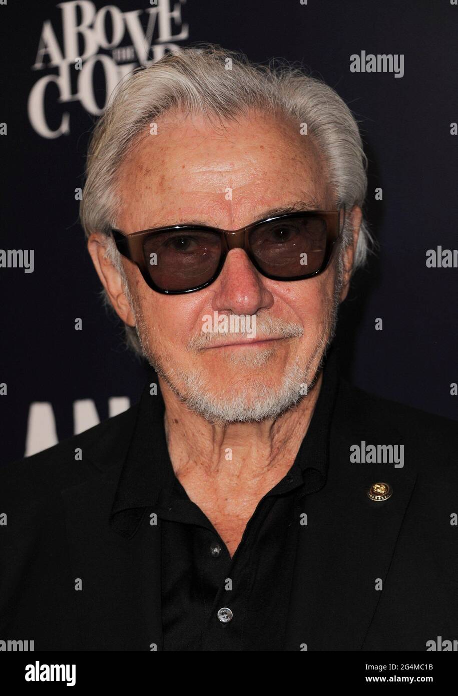 Los Angeles, CA. 21st June, 2021. Harvey Keitel at arrivals for LANSKY