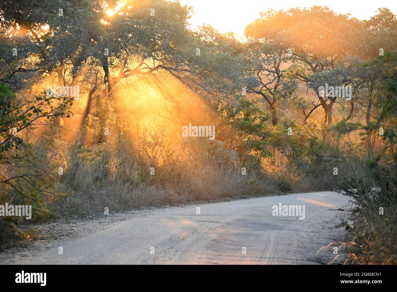 South Africa Stock Photo