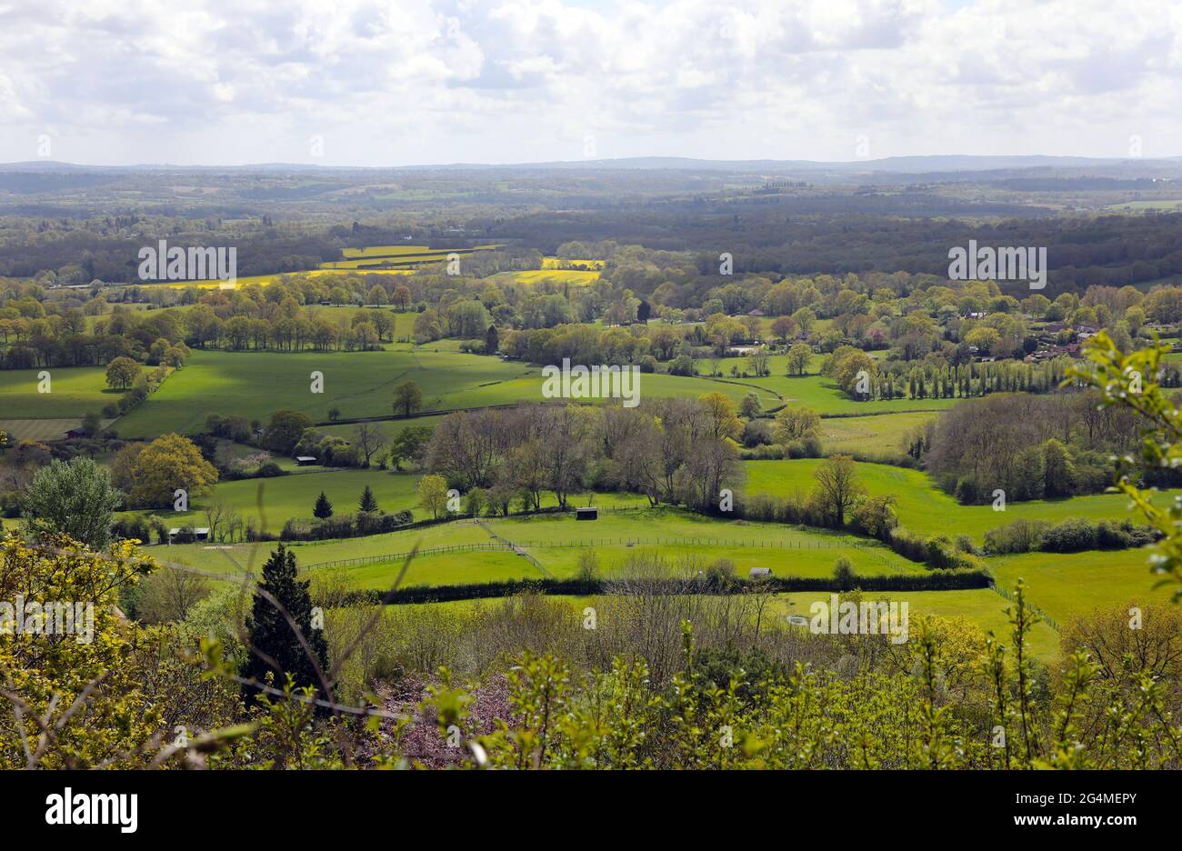 The view from One Tree Hill woodland, nr Sevenoaks,  looking south across the Weald of Kent, England. Stock Photo