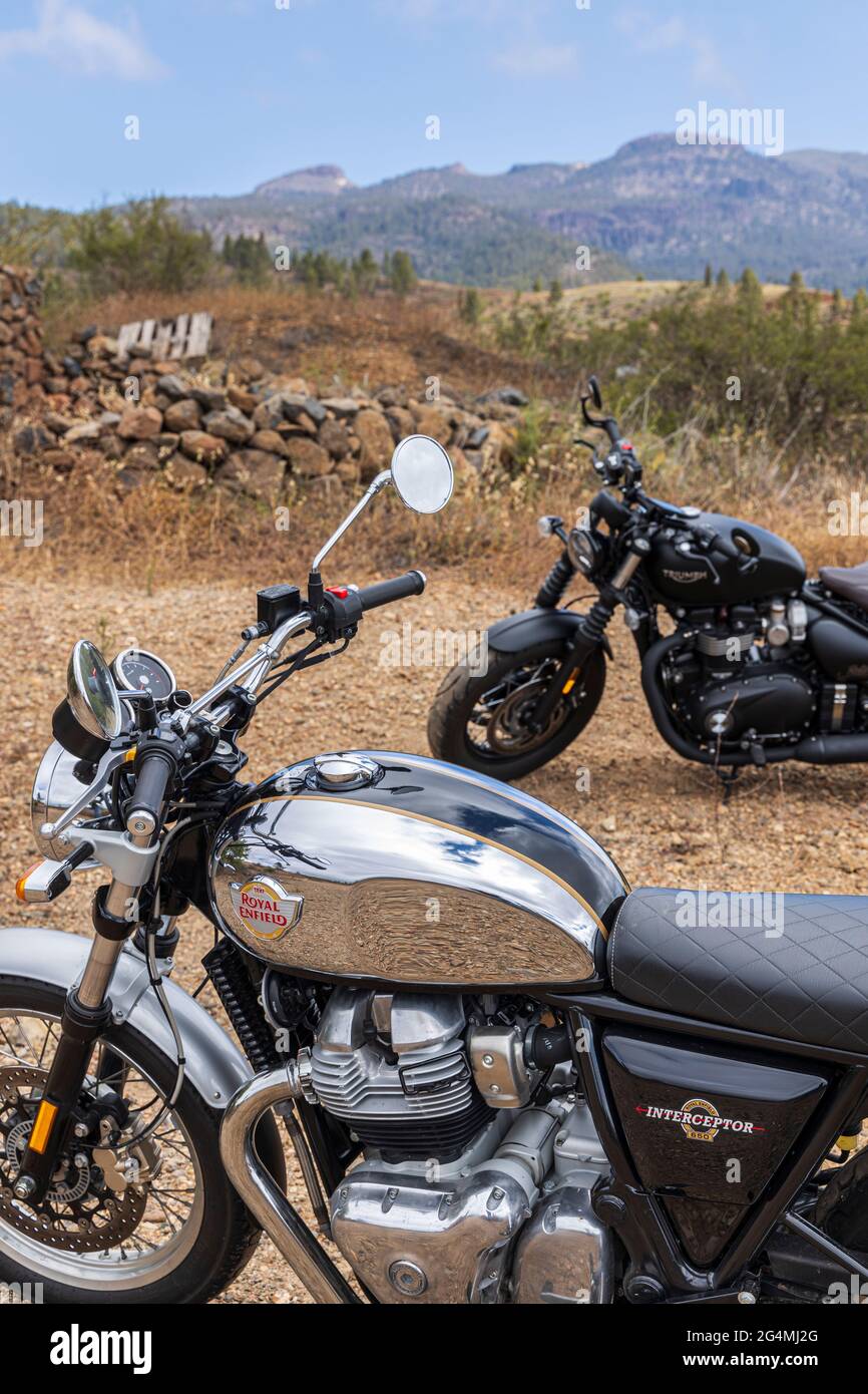 royal enfield or triumph