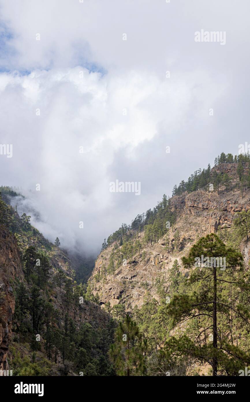 Misty weather blowing cloud in through the gorge at Ifonche, Barranco de Infierno, Adeje, Tenerife, Canary Islands, Spain Stock Photo