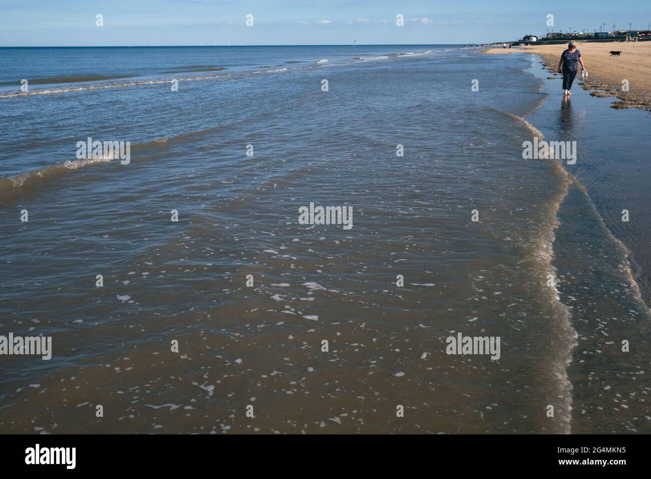 A blonde middle-aged woman strolls barefooted in the sea along the shoreline of the North Beach of Mablethorpe in Lincolnshire Stock Photo