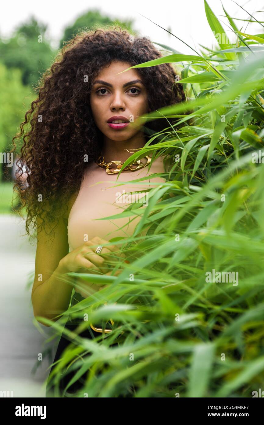 Curly dark brown hair hi-res stock photography and images - Alamy