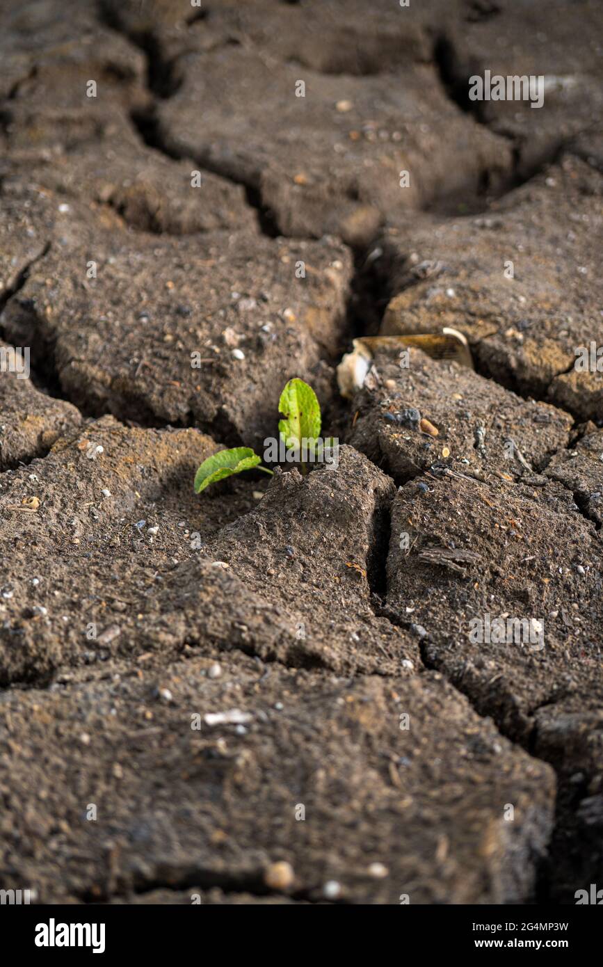 Global warming, climate change, human-induced, emissions, greenhouse gases, soil erosion, large-scale, weather, shifts, gradual heating, earth surface Stock Photo