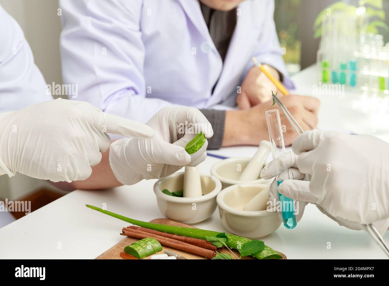 The scientist or doctor make herbal medicine from herb in the