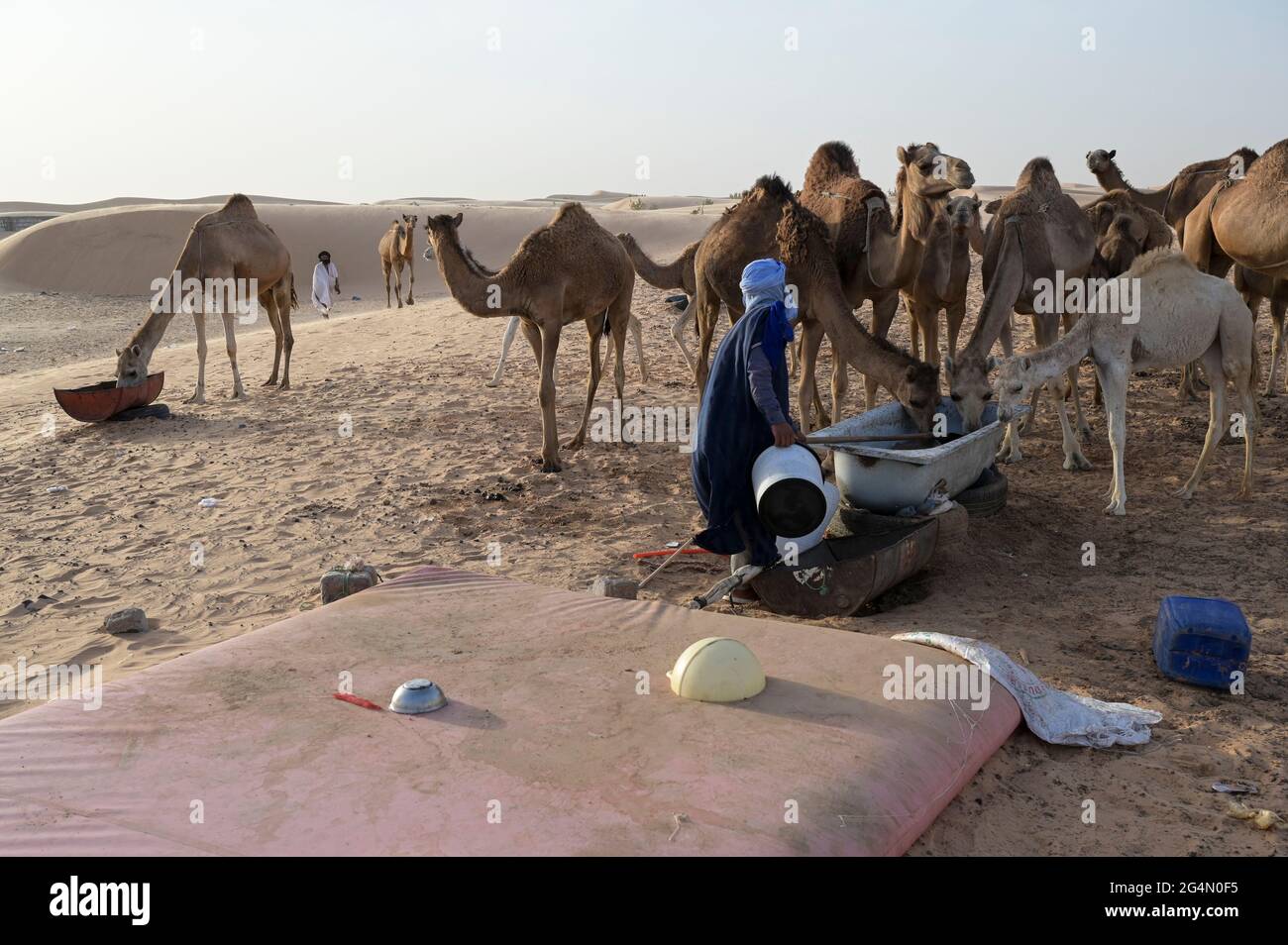 Camel bags hi-res stock photography and images - Alamy