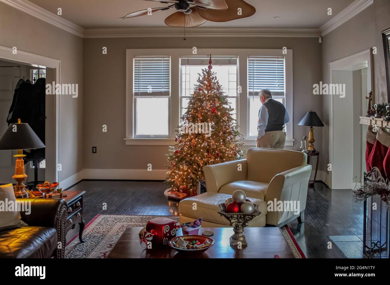 Inside elegant home decorated for Christmas with tree and stockings an older man looks out window Stock Photo
