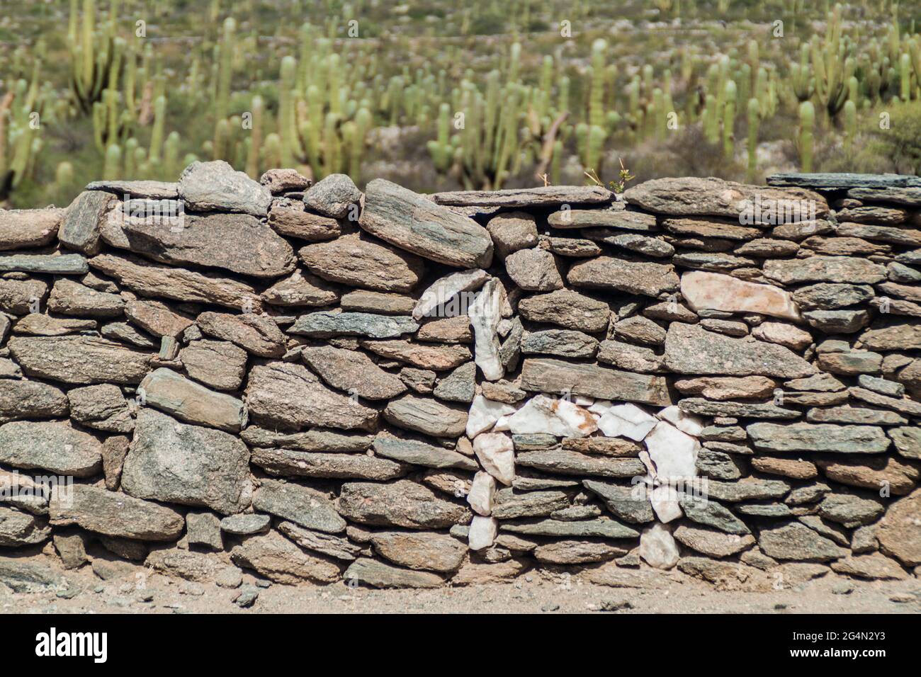 Stone lama at the wall at ruins of Quilmes town, Argentina Stock Photo