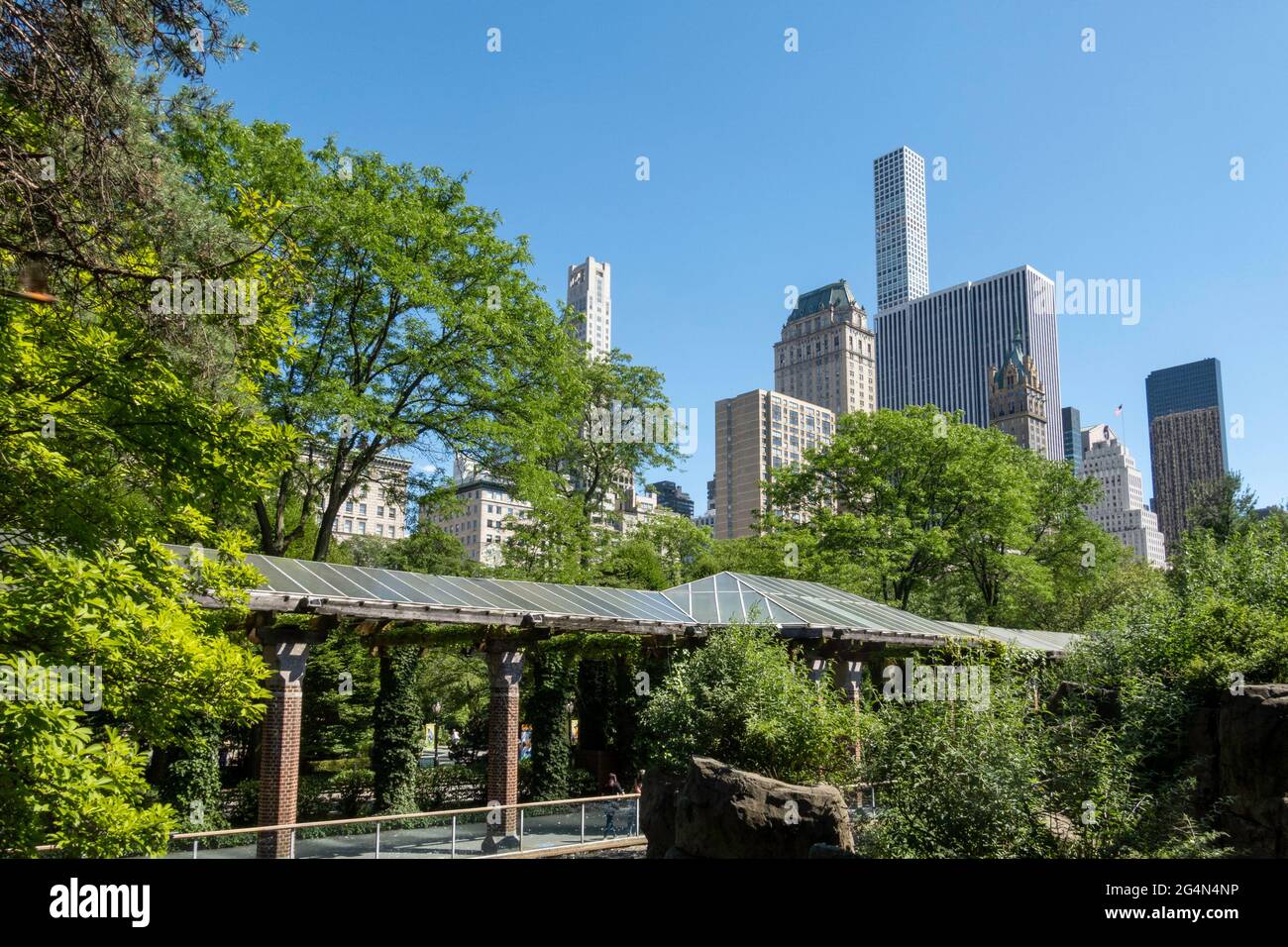 Central Park Zoo with skyscrapers in the background, New York City, USA