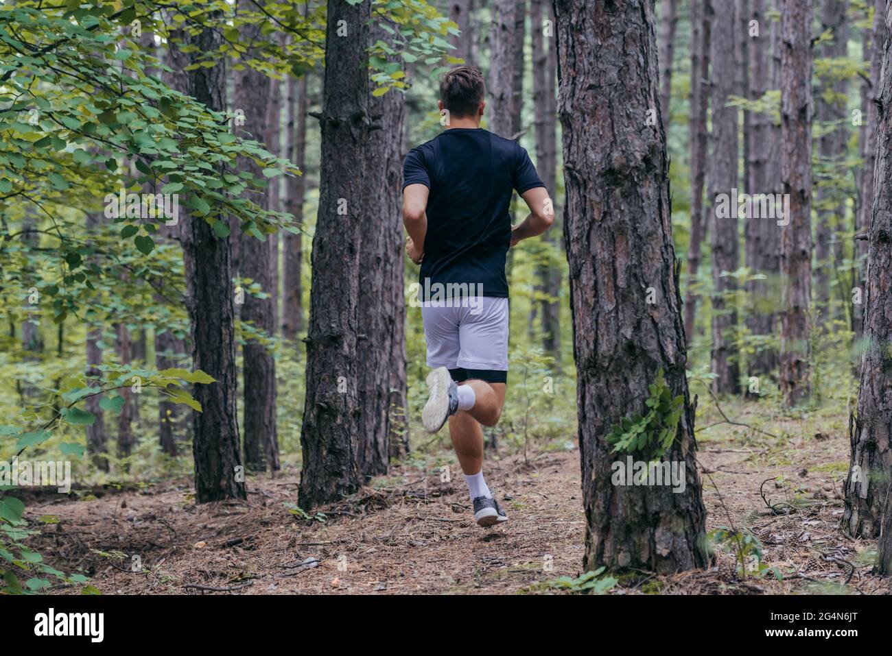 Full-length picture of an attractive male athlete running in the woods ...