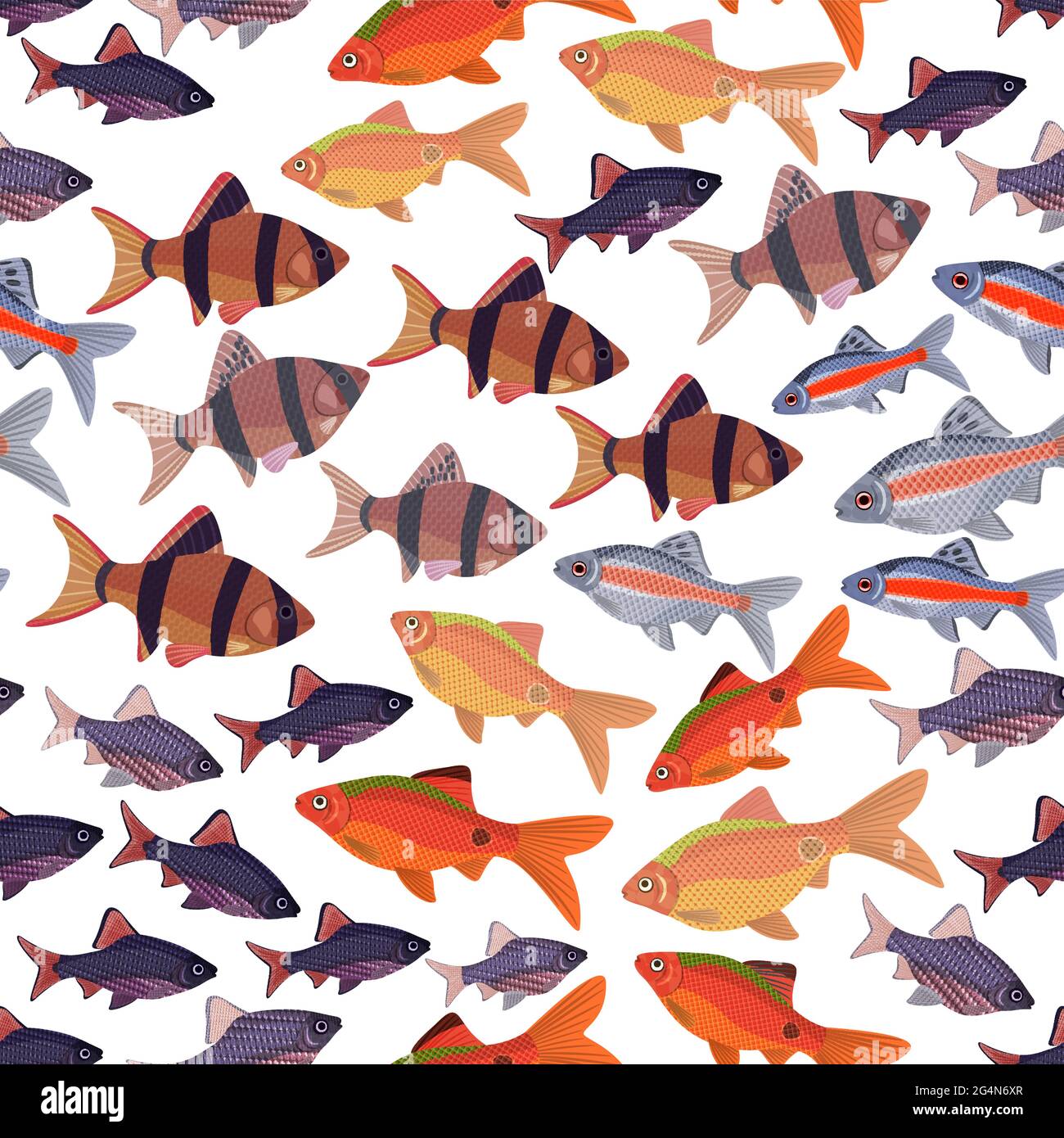 Seamless pattern fishes aquarium barbs, EPS10 - vector graphics. Stock Vector
