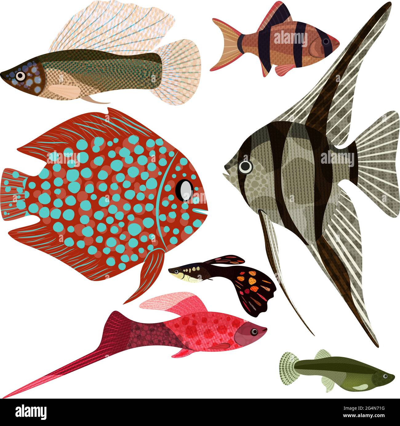 Collection exotic aquarium fishes, EPS10 - vector graphics. Stock Vector