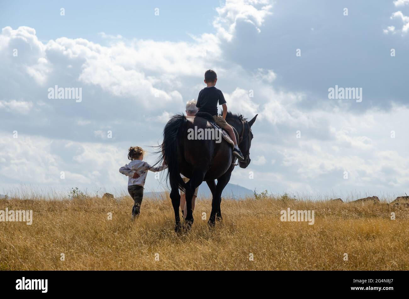 А little girl leads a horse that is ridden by a little boy in a