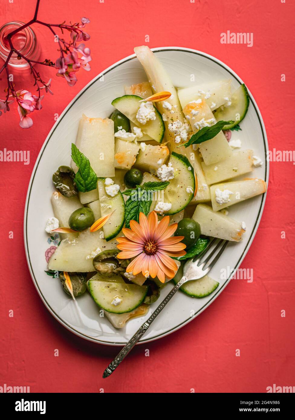 Top view of delicious melon salad with cucumbers and olives served on plate with herbs near salt shaker and napkin on red background Stock Photo