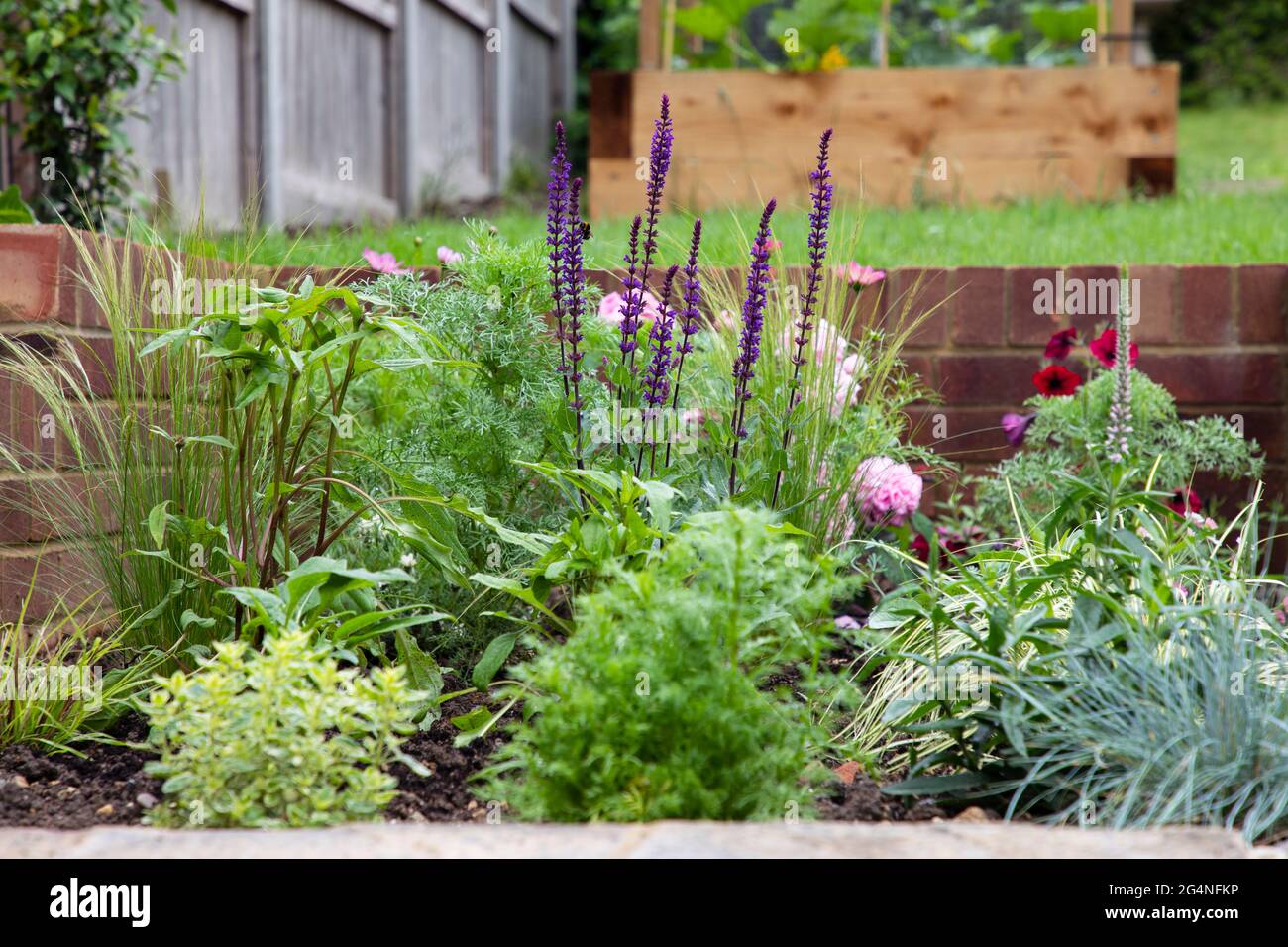 Cottage garden border hi-res stock photography and images - Alamy
