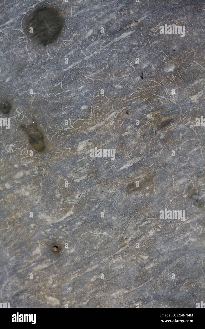Tracks left by sea erosion on hard sandstone at Pors Creguen, Crozon-Morgat, Brittany, France Stock Photo