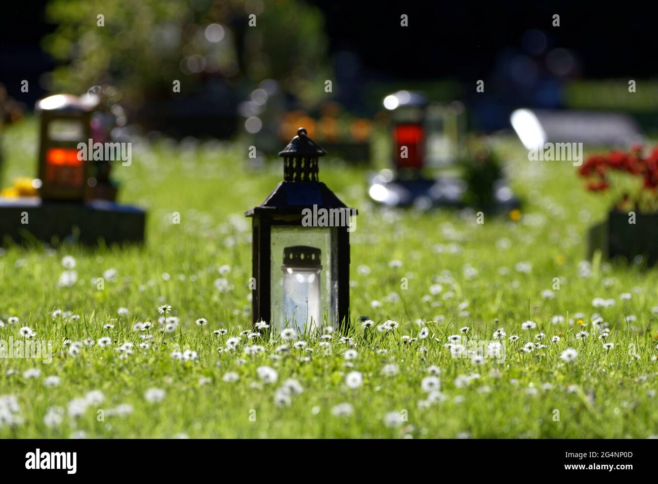 graves with grave lanterns in a flowering spring meadow Stock Photo