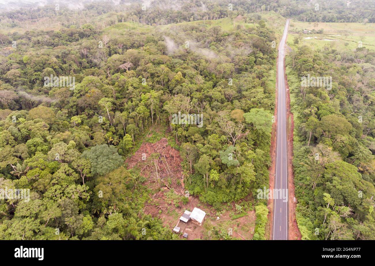 Aerial shot of an Amazonian highway in Ecuador and a clearing made by a subsistence farmer. Roads bring colonization and destruction of the rainforest Stock Photo