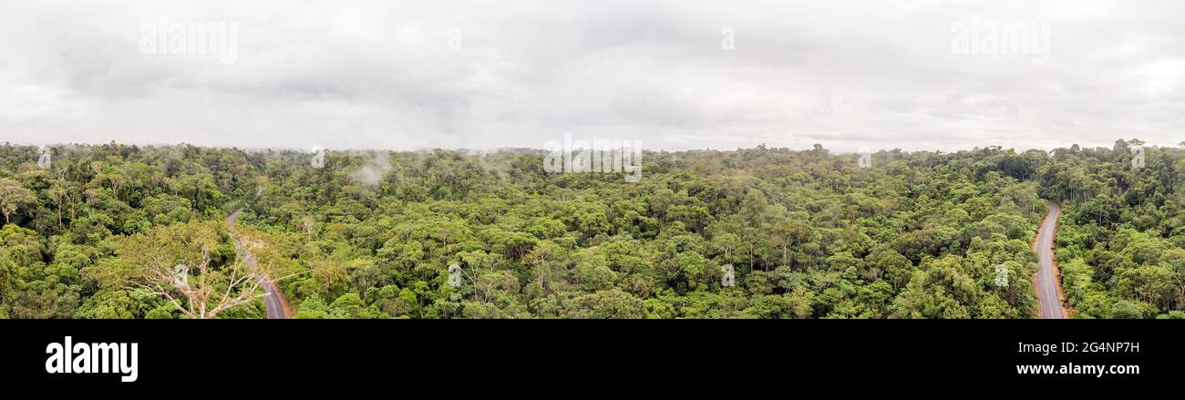 Panoramic aerial of roads running through the rainforest in Ecuador. Roads bring colonization and destruction of the rainforest to the Amazon Basin. Stock Photo