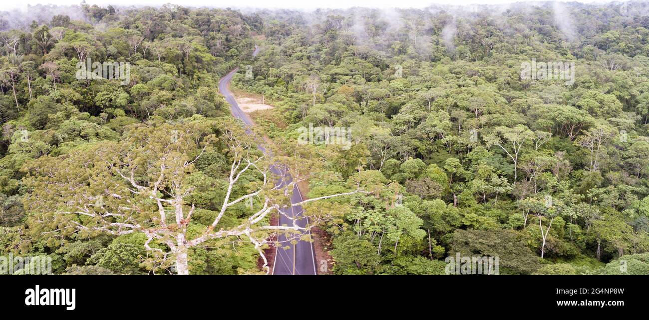 Aerial of shot of a road running through the rainforest in Ecuador. Roads bring colonization and destruction of the rainforest to the Amazon Basin. Stock Photo