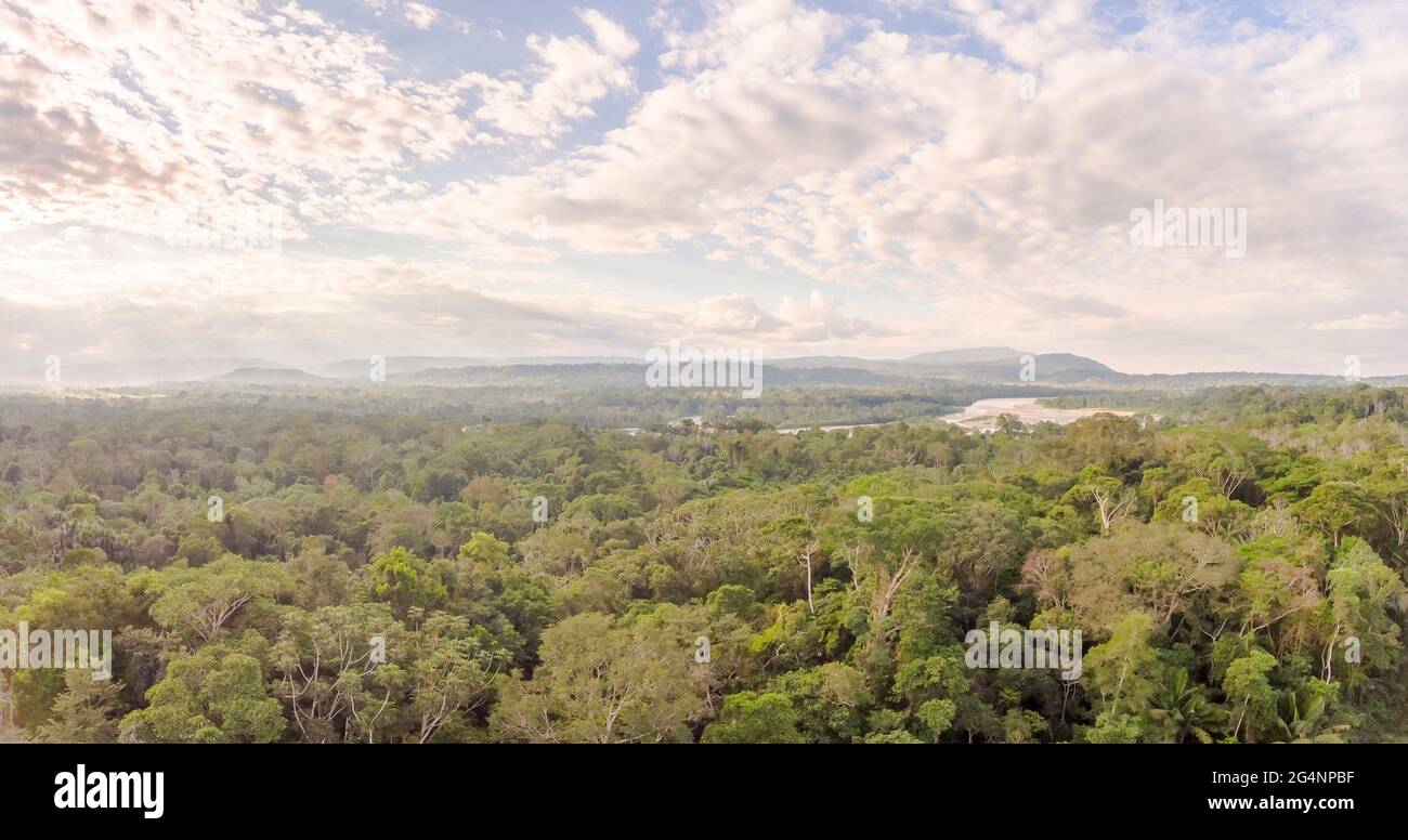 Aerial panorama of Amazonian rainforest in Ecuador at dusk with Rio Napo and Galeras mountain in the background. Stock Photo