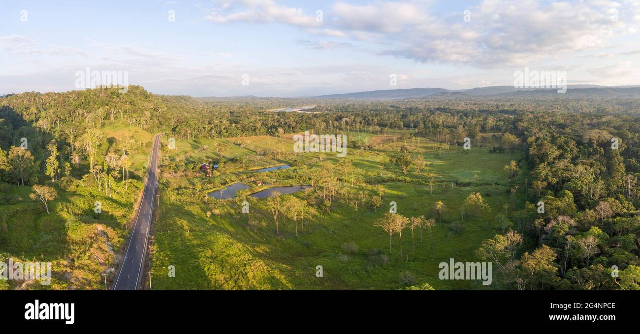 Aerial of a cattle farm cut out of the Amazon rainforest in Ecuador.  With fish ponds for raising Tilapia, surrounded by primary rainforest. Napo prov Stock Photo