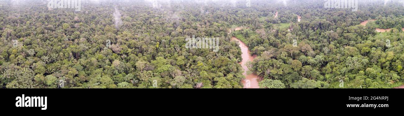Aerial panorama of pristine tropical rainforest in Ecuador with the Rio Shiripuno, a tributary of the Amazon. Stock Photo