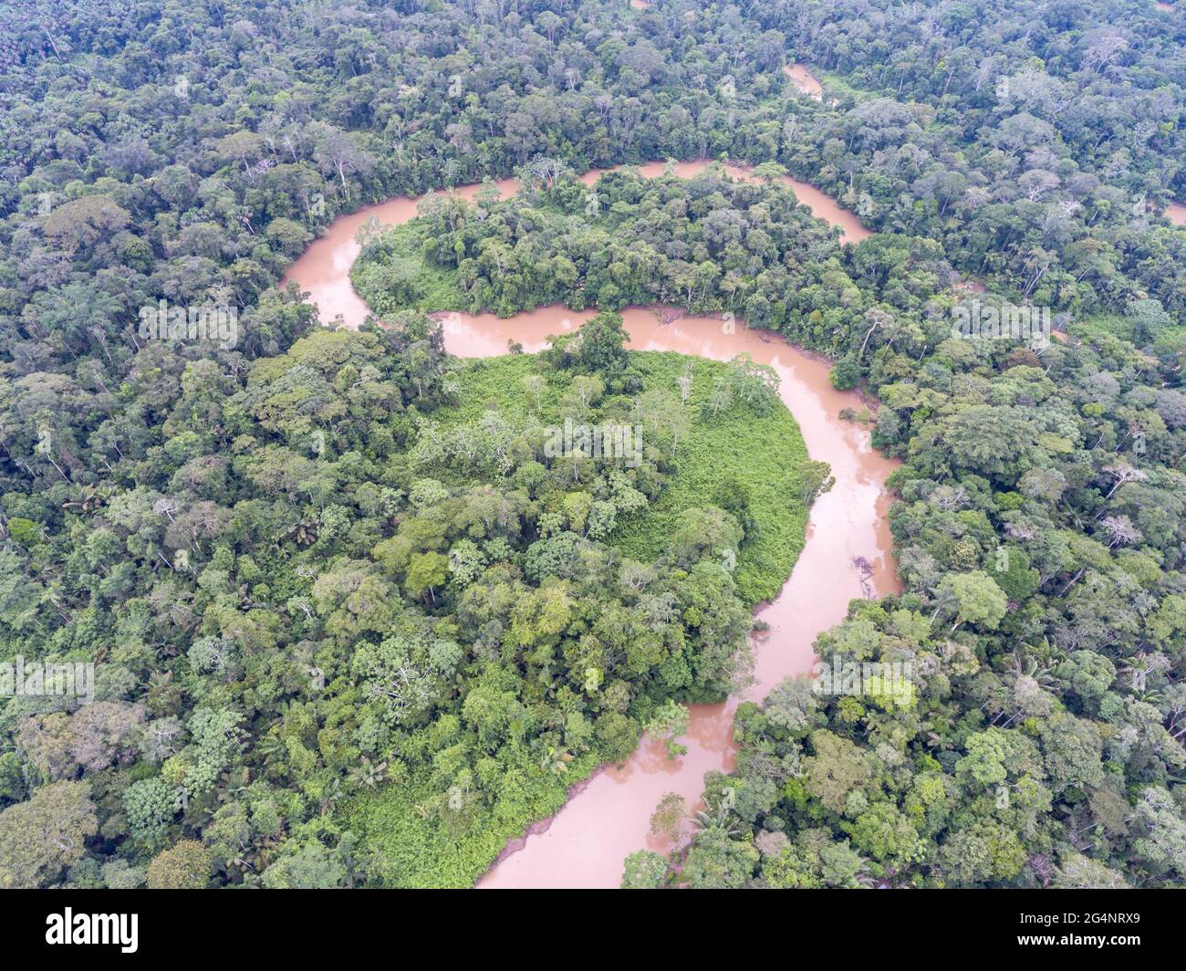 Aerial view of a bend in Rio Shiripuno, a tributary of the Amazon, flowing through pristine tropical rainforest in Ecuador Stock Photo