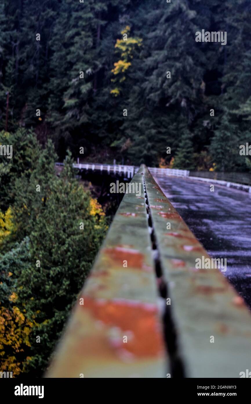 A one lane bridge up in mount rainier national park on a regular cold rainy day. Stock Photo