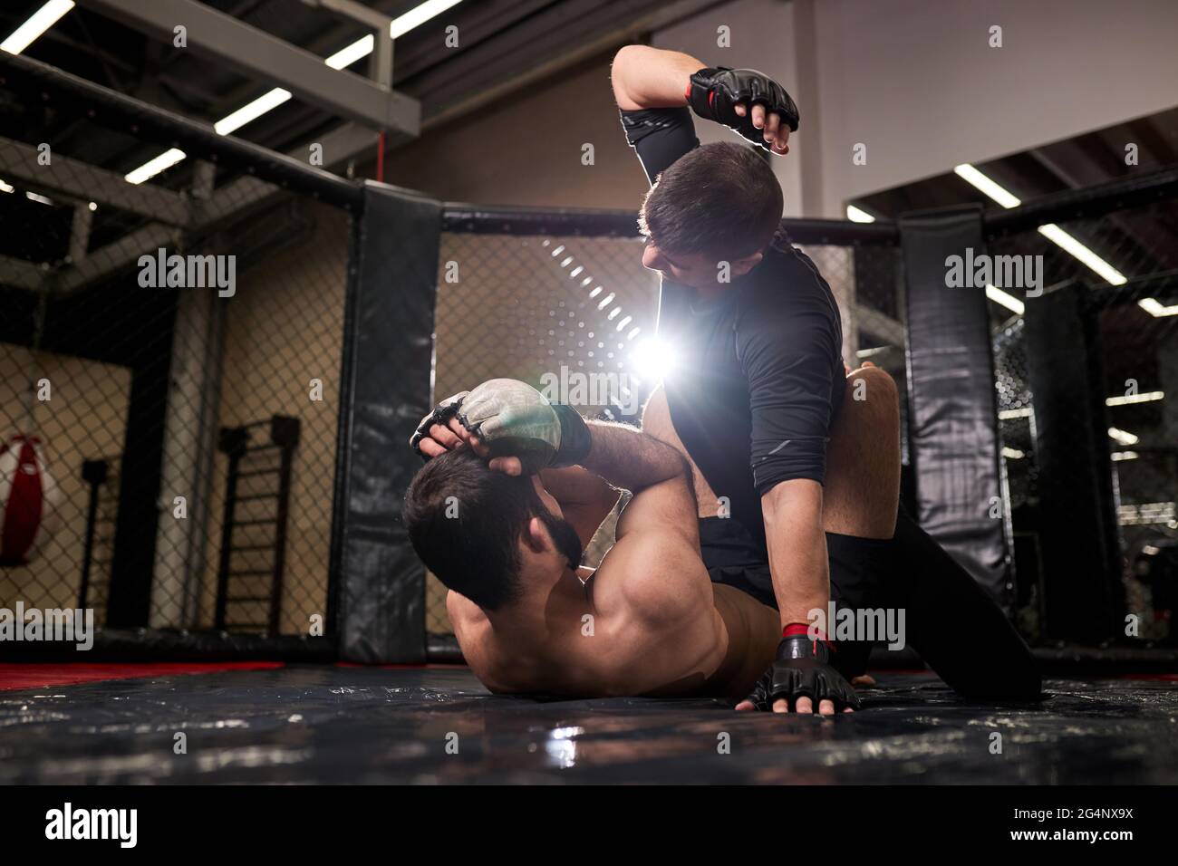 muscular MMA boxers fighters fight in fights without rules in ring