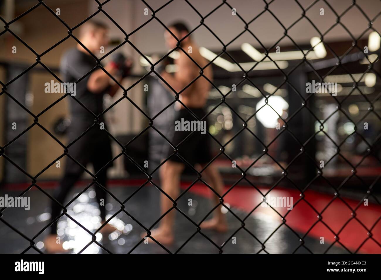 View through cage, two muscular men fighting, bodybuilders punching