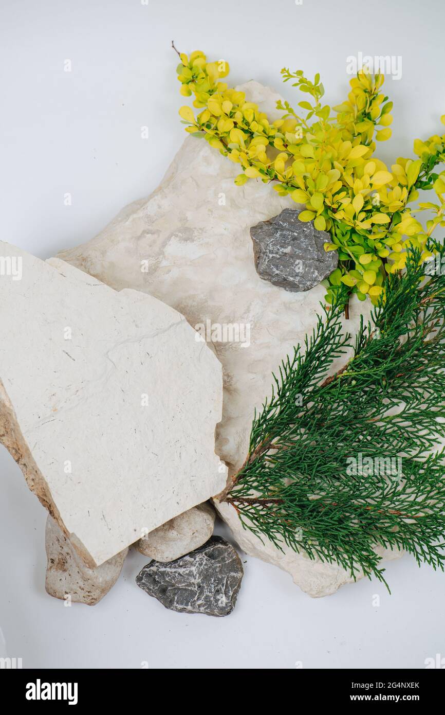 Top view on composition of stones decorated with flower bush and conifer branches. Big flat ones and small darker ones. Stock Photo