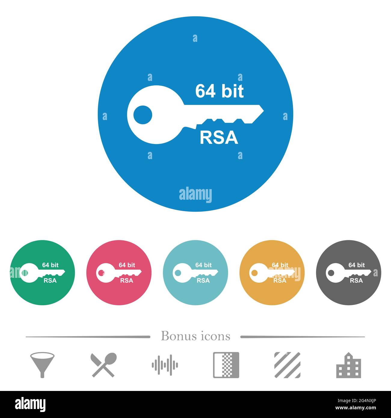 64 bit rsa encryption flat white icons on round color backgrounds. 6 ...