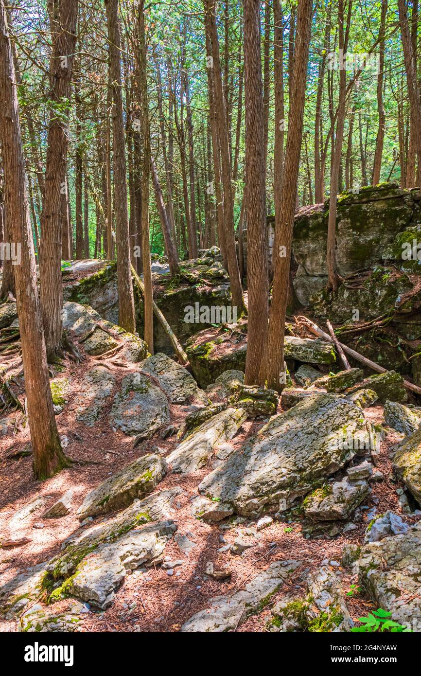 Warsaw Raves Warsaw caves hi-res stock photography and images - Alamy