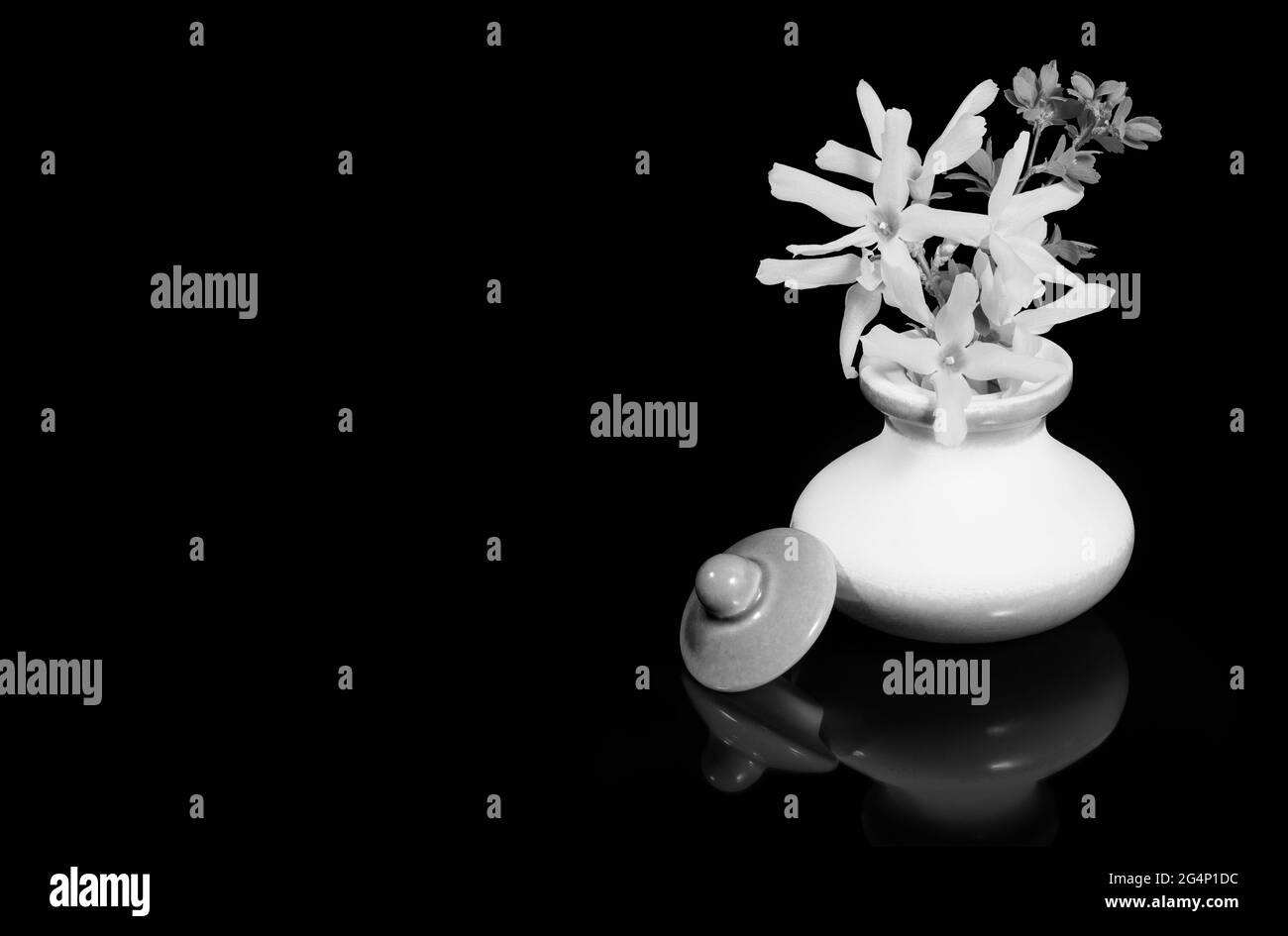 Bouquet of delicate blooms in white vase on a black background. Spring flowers in small ceramic cup with lid, reflection and copy space for notice. Stock Photo