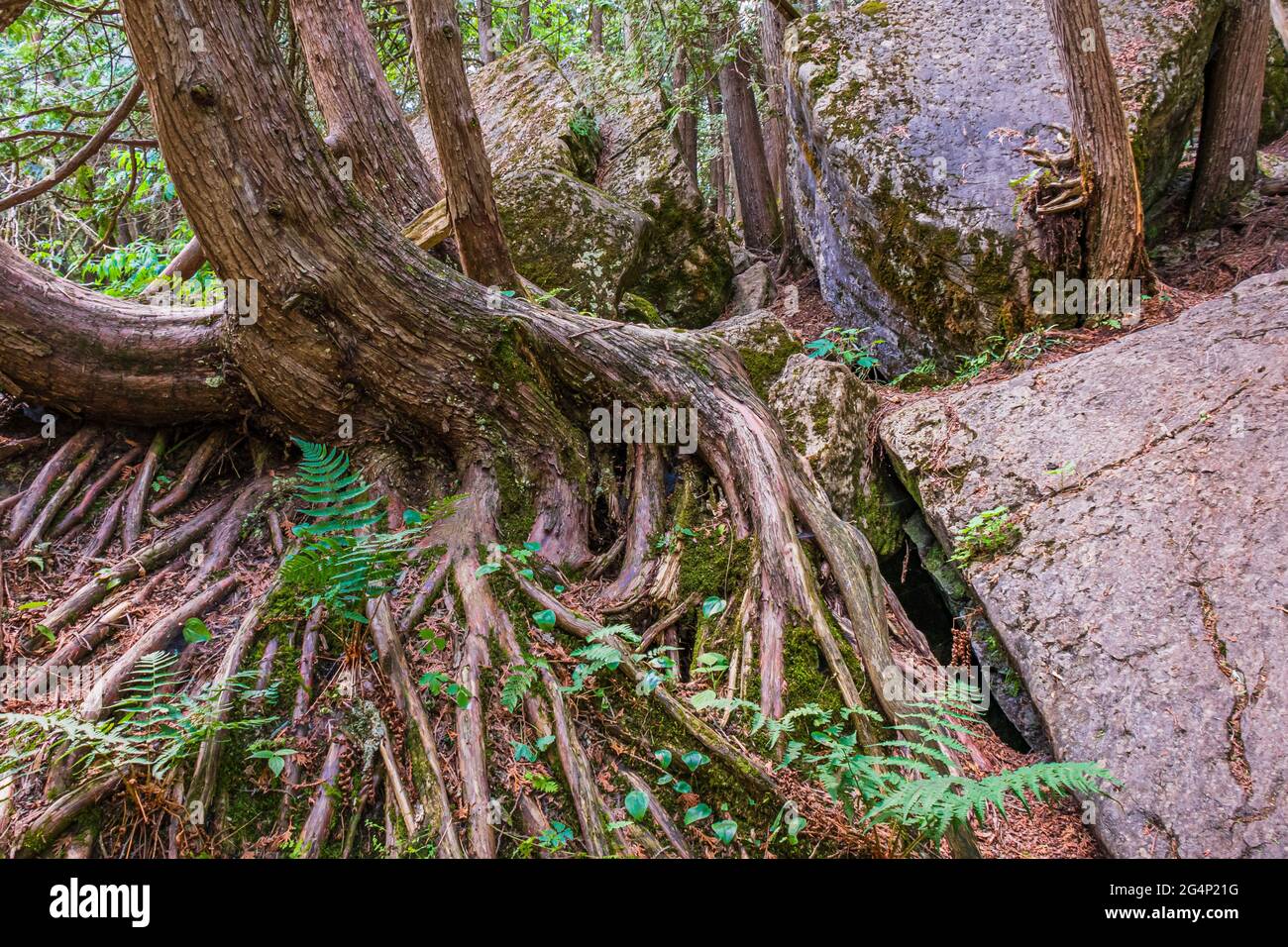 Warsaw Raves Warsaw caves hi-res stock photography and images - Alamy