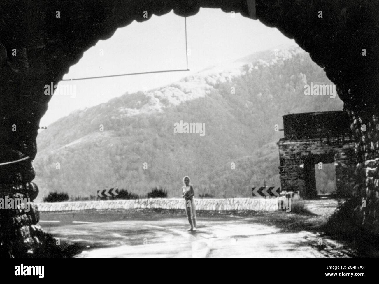 Johanna ter Steege, "The Vanishing" (1988) Argos Films / File Reference