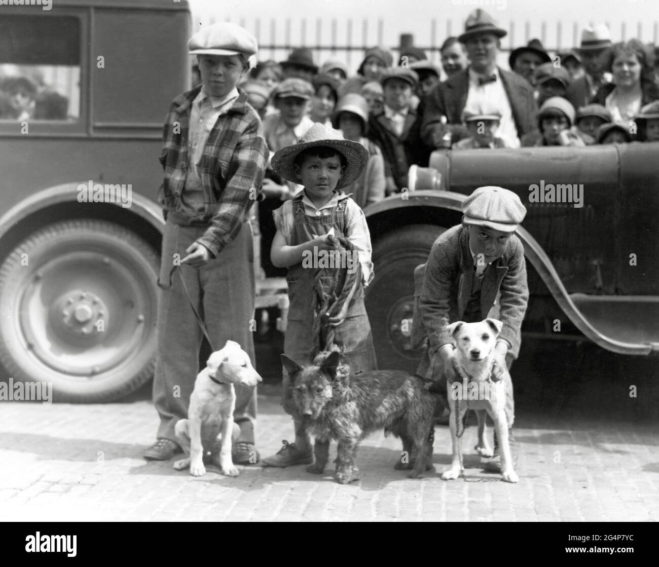 "Real Old Fashioned Mutts" dog show organized by the RKO Pantages
