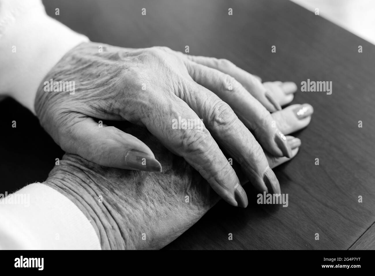 A close up concept photo of a pair of wringled and aged hands from an elederly woman. Stock Photo