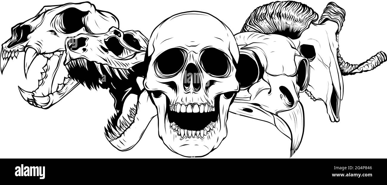 vector illustratio of animal skull art design Stock Vector