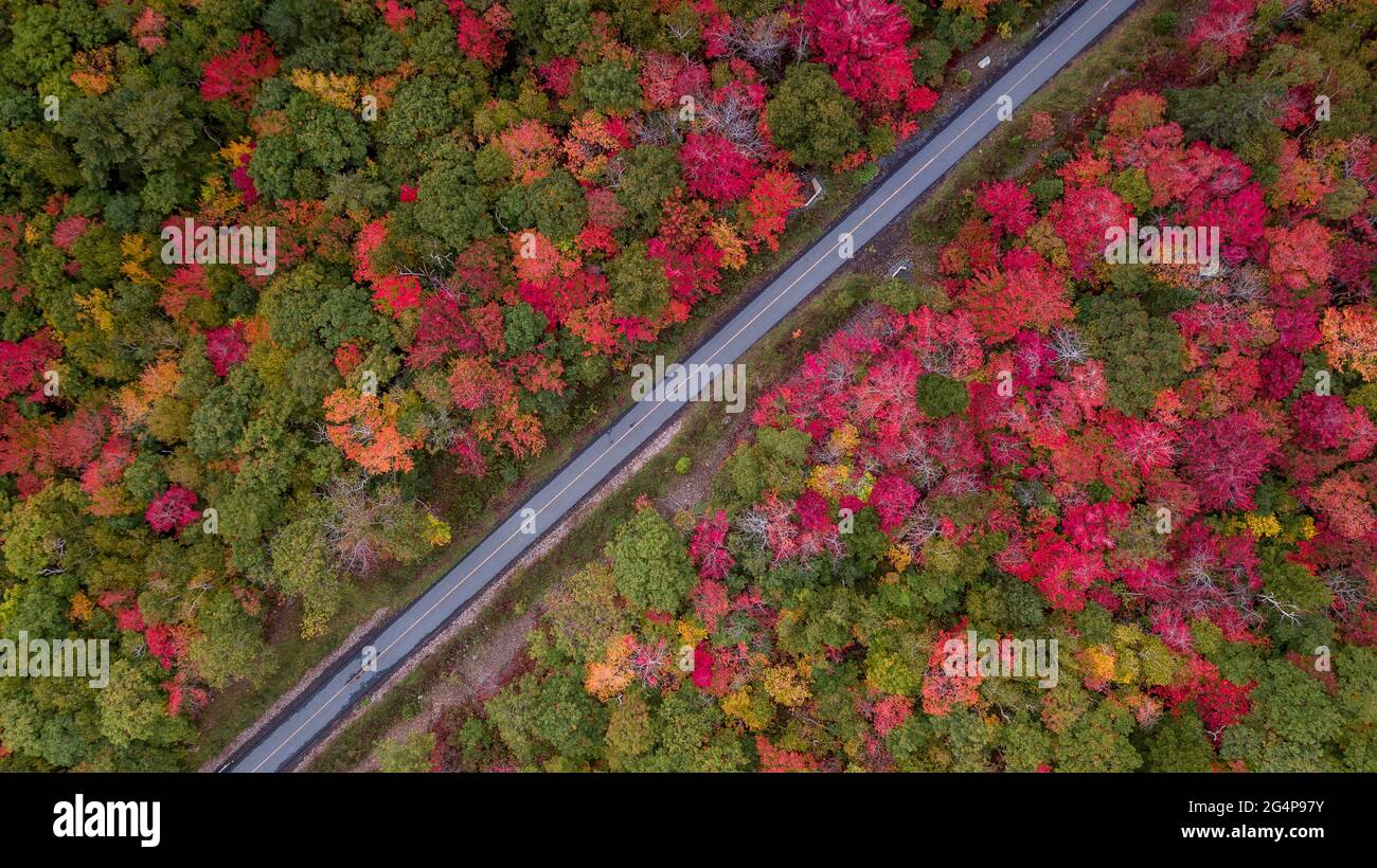 Aerial views of Trans Canada hiking trails  in the autumn landscape in Halifax, Nova Scotia. Aerial views of the longest trail in the world. Stock Photo