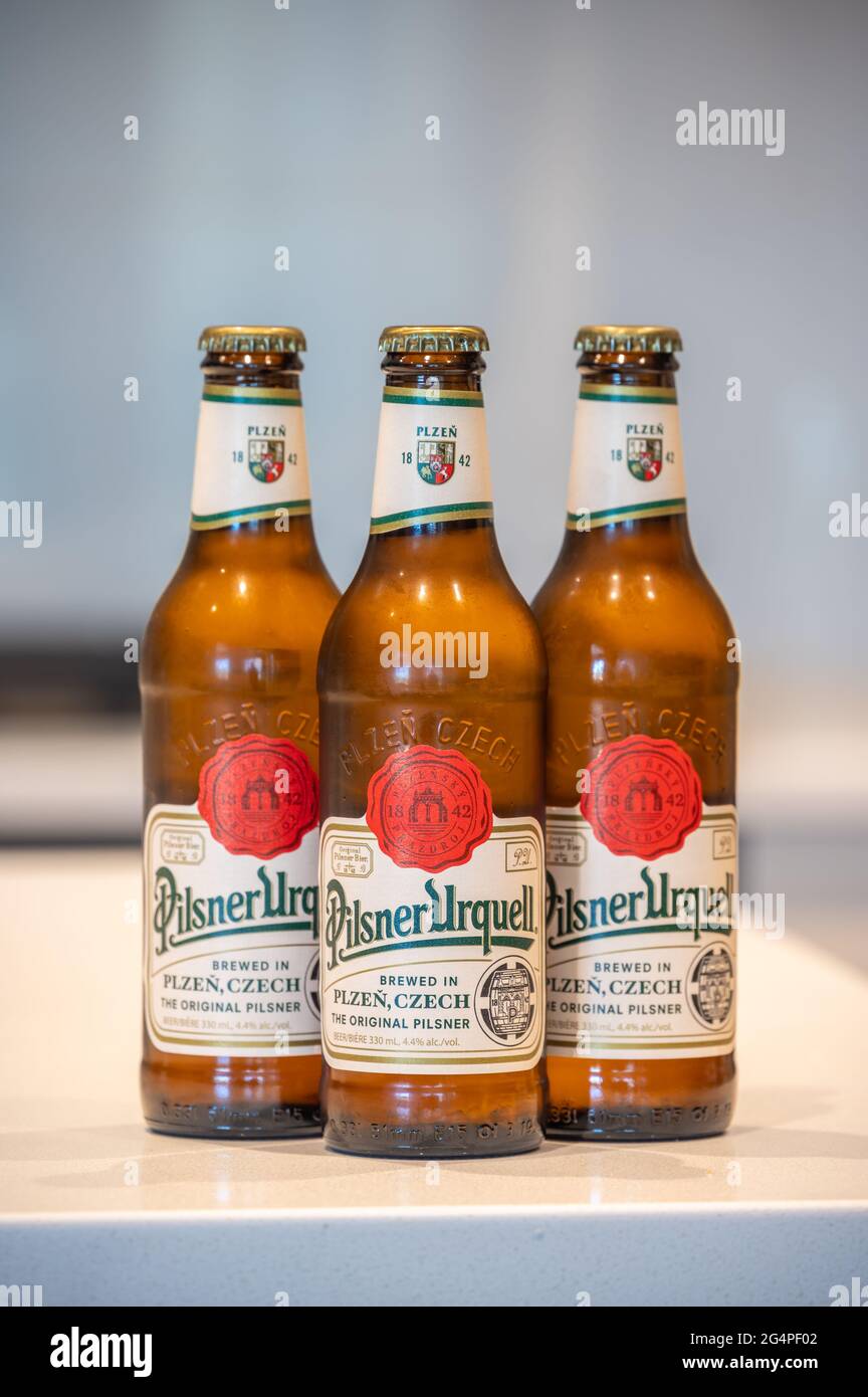 Calgary, Alberta - June 22, 2021: Pilsner Urquell lager beer bottle in white kitchen. Pilsner Urquell is a Czech beer. Stock Photo