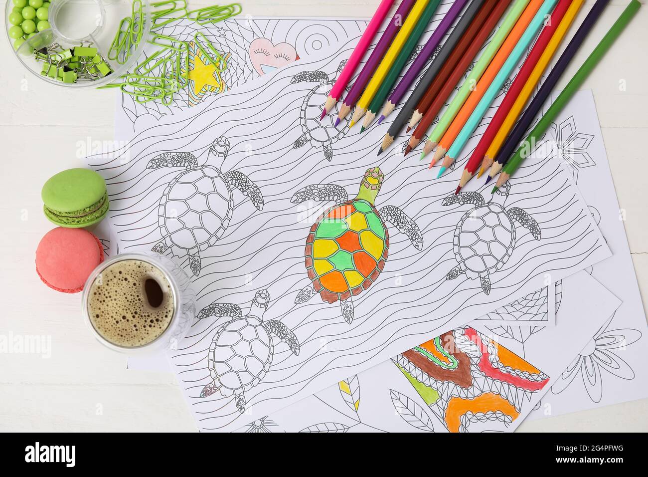 Turtle coloring sheet hi-res stock photography and images - Alamy