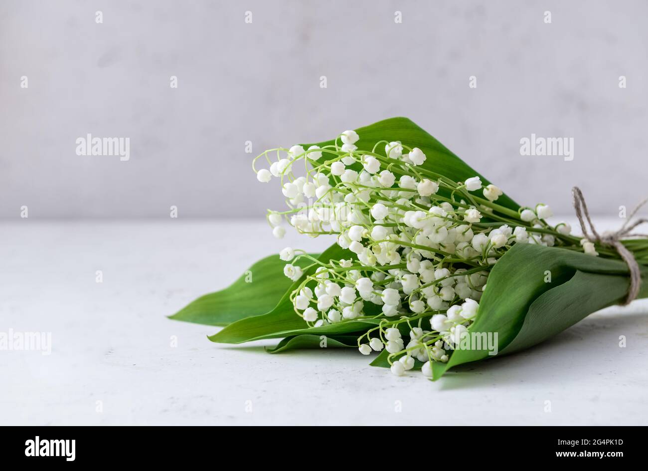 Beautiful lily-of-the-valley flowers on light background Stock Photo ...
