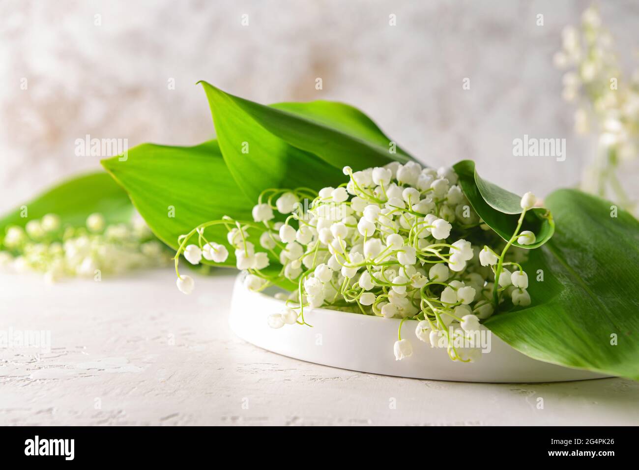 Beautiful lily-of-the-valley flowers on light background Stock Photo ...