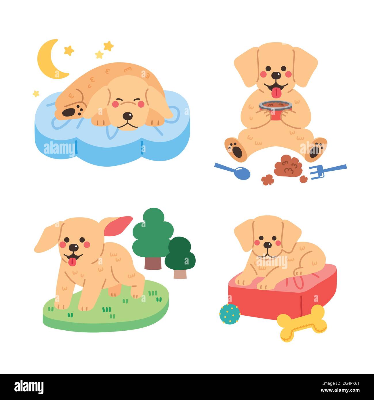 various actions of golden retriever dog Stock Photo Alamy