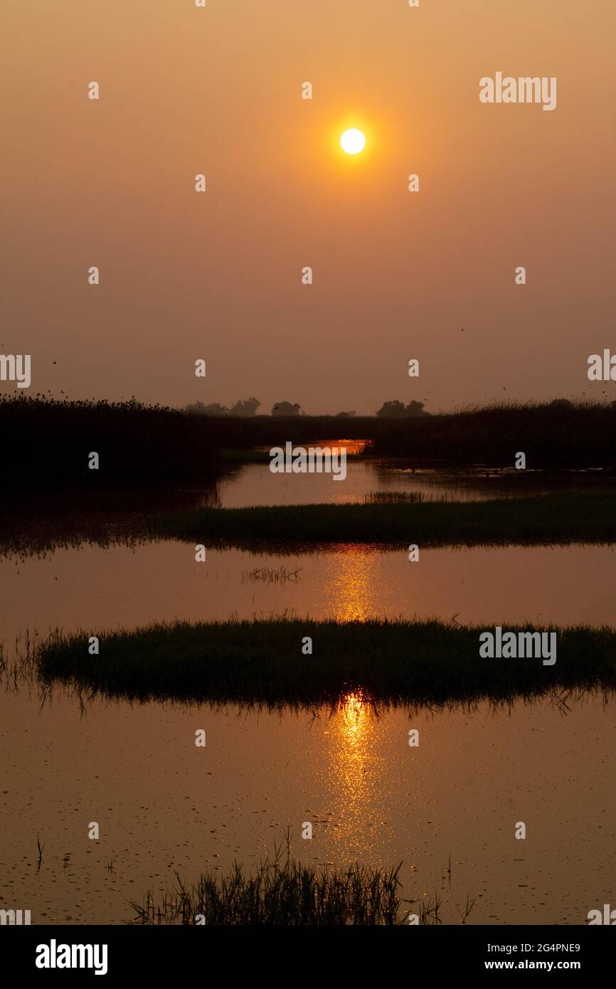 A morning sun shines through a wildfire smoke-tainted sky, creating a mosaic of patterns on a vegetated wetland on the Merced National Wildlife Refuge Stock Photo
